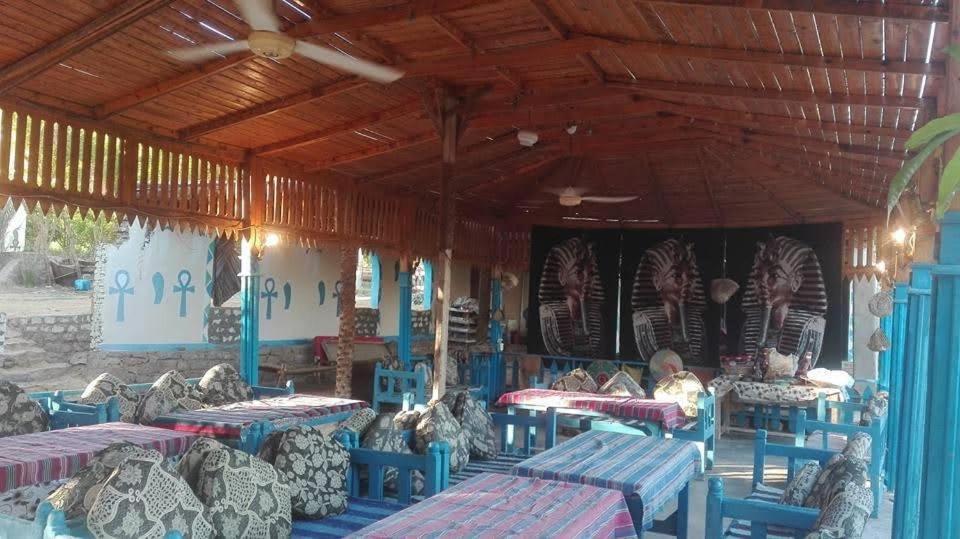 Nubian Farm Farm stay