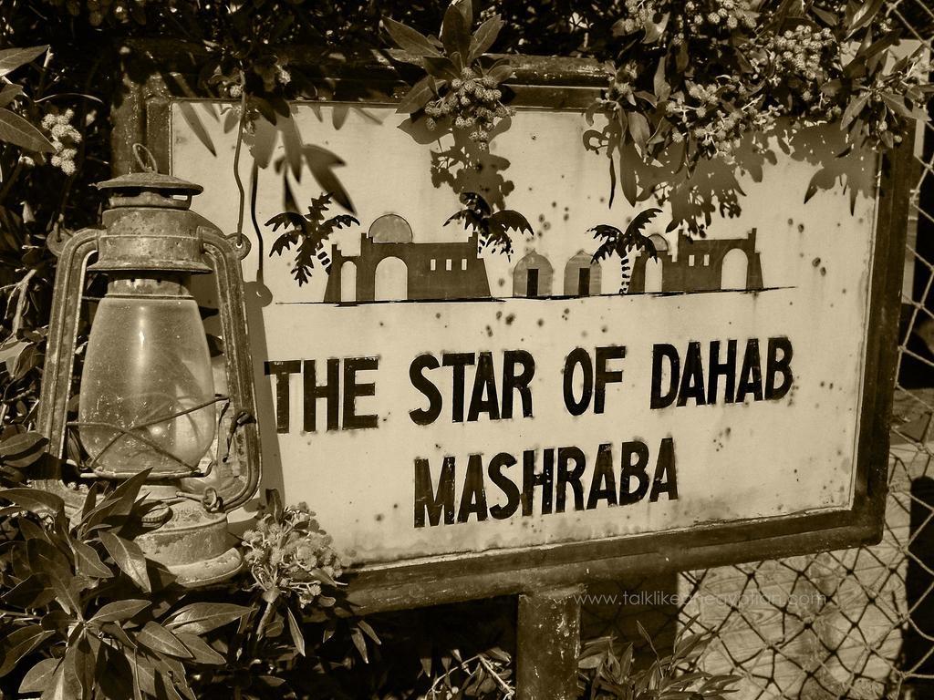 Star Of * Dahab