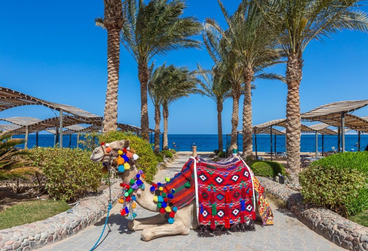 Sphinx Aqua Park 4*