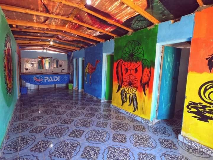 Sea Horse Campsite Nuweiba