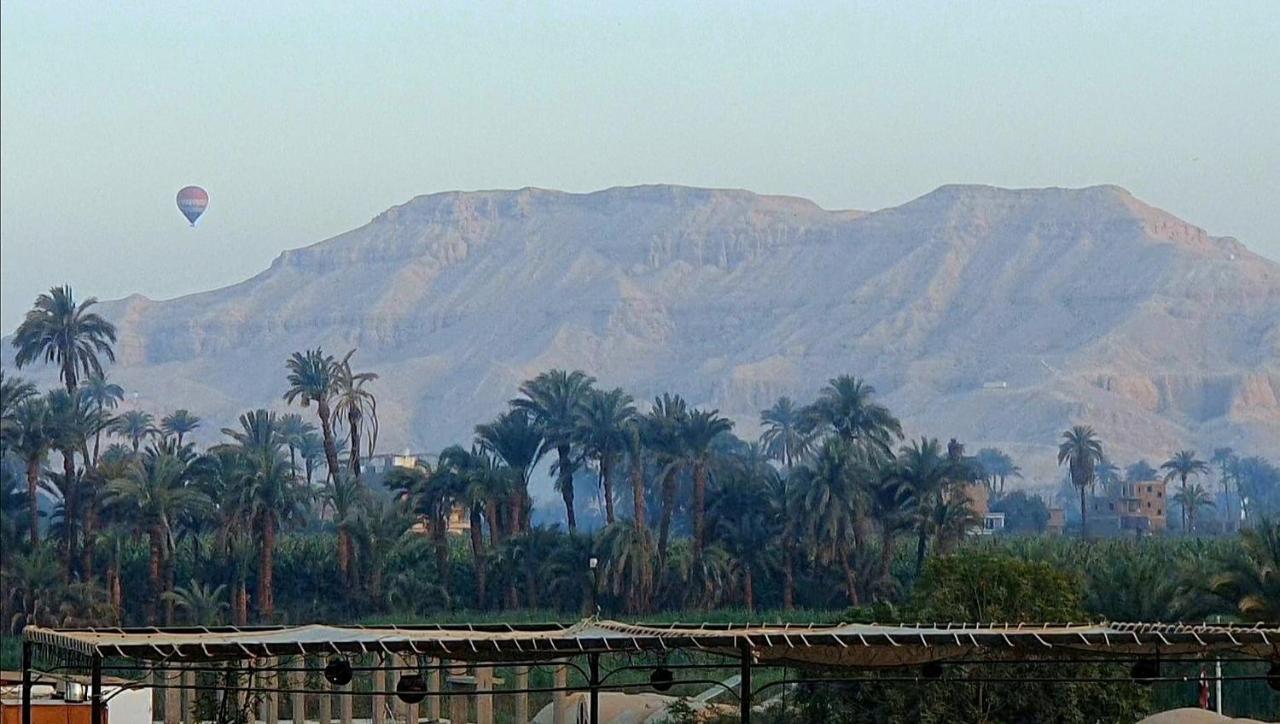 Apartment Luxor Guest House