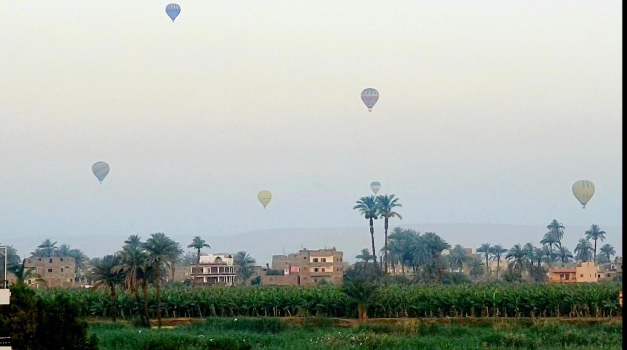 Apartment Luxor Guest House
