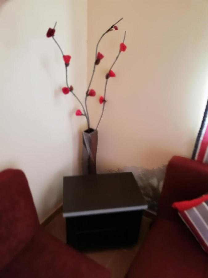 Apartment Mousa Coast & Ras Sedr
