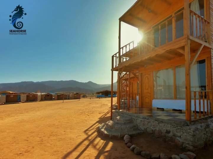 Campsite Sea Horse Nuweiba
