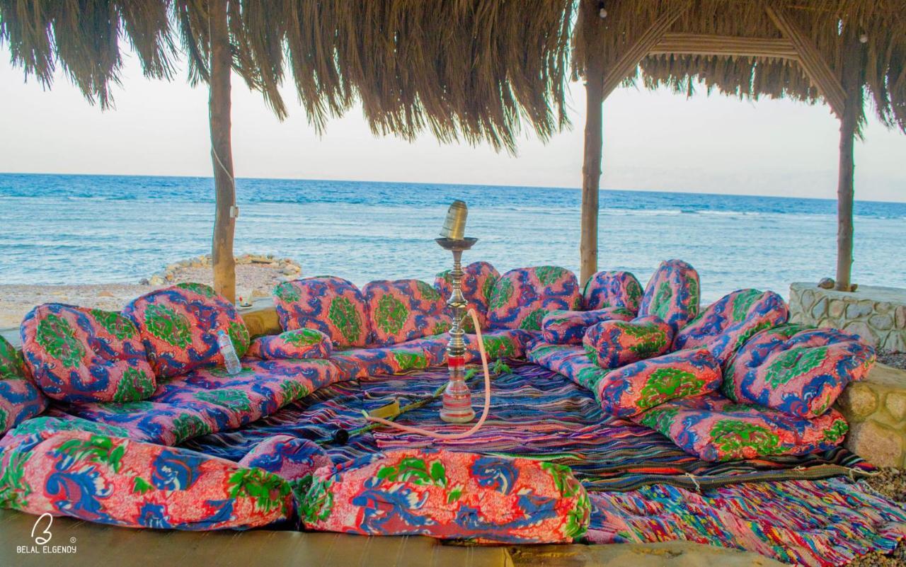 Wishwashi Camp & Nuweiba