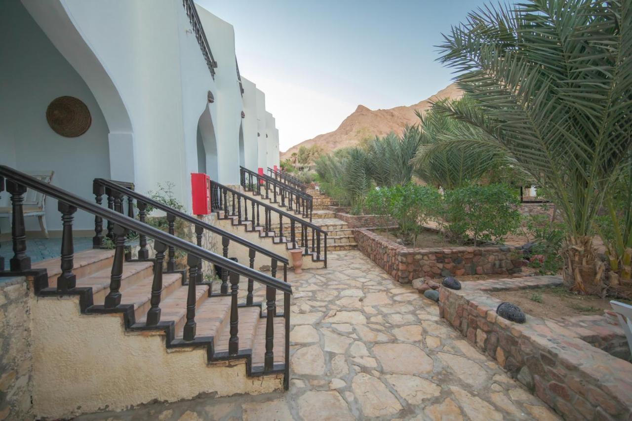 Hotel The Bedouin Moon Dahab