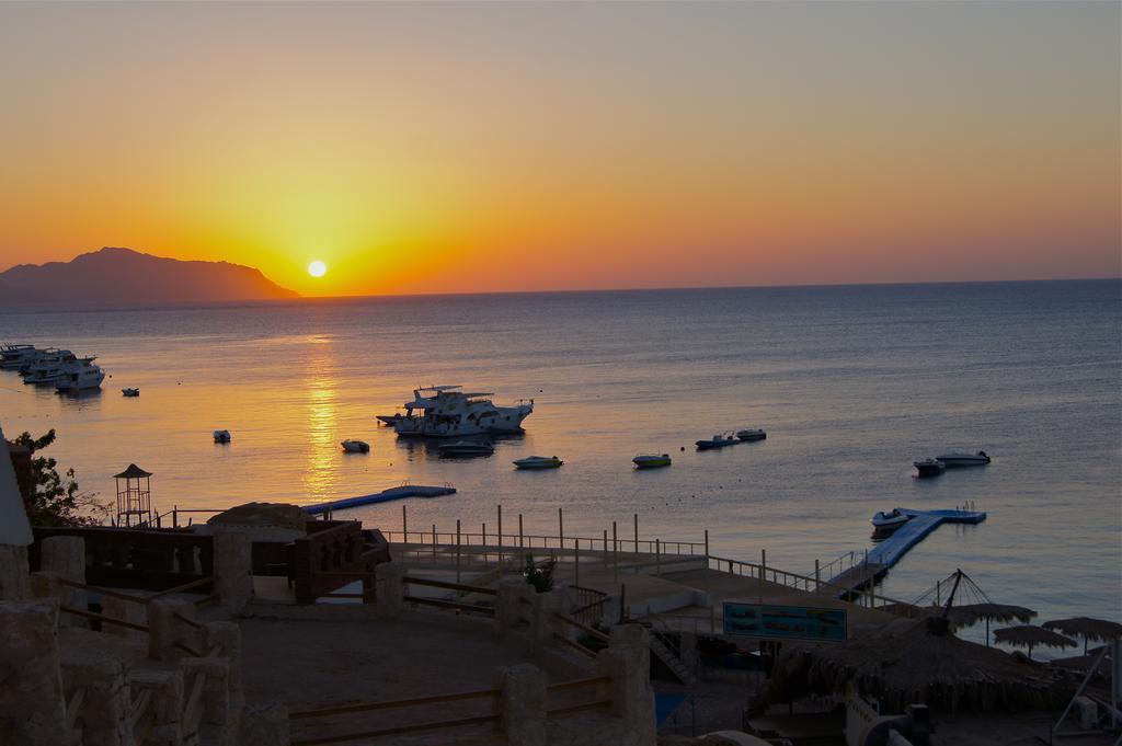 Umbi Sharks Bay Diving Village Complex Sharm el-Sheikh