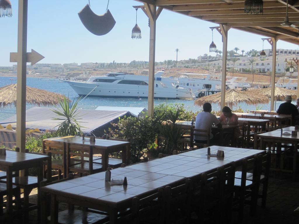 Umbi Sharks Bay Diving Village Complex