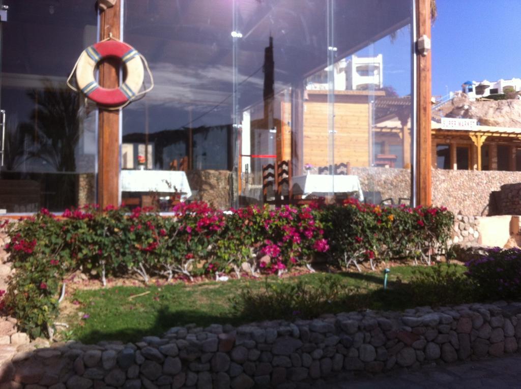 Sharks Bay Oasis Aqua Park 3* Şarm El-Şeyh