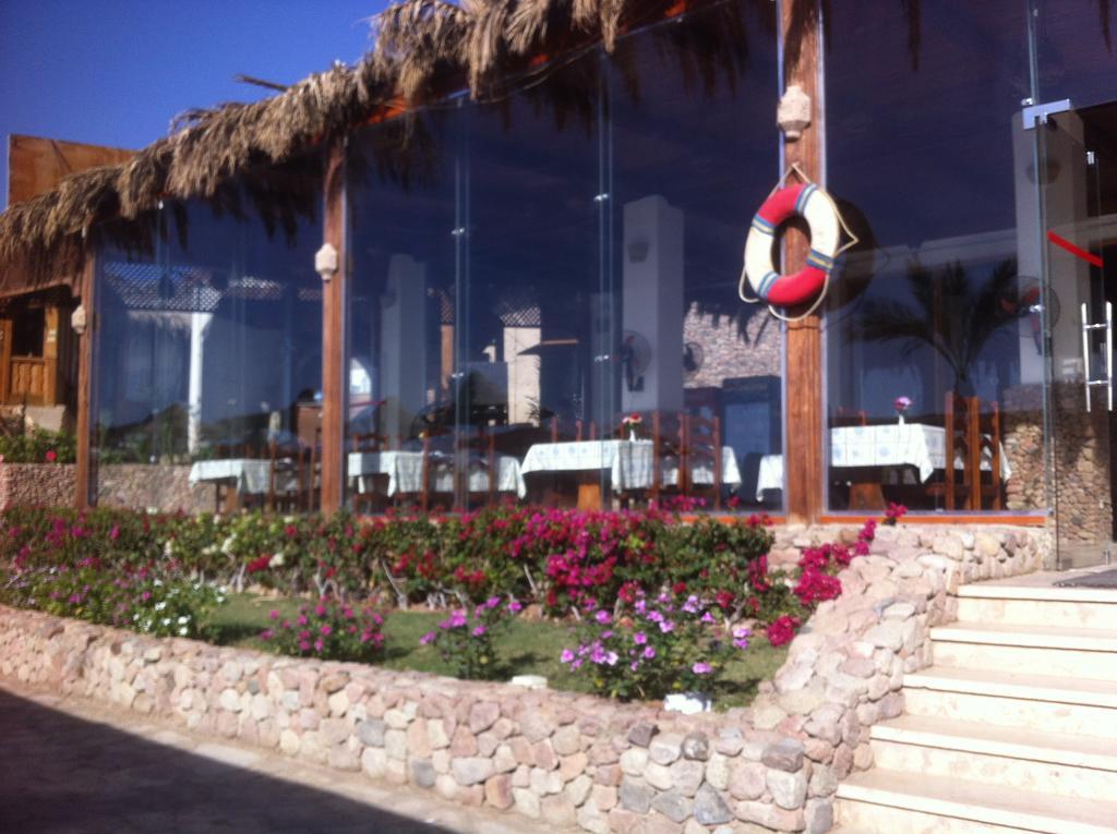 Sharks Bay Oasis Aqua Park Resort Şarm El-Şeyh