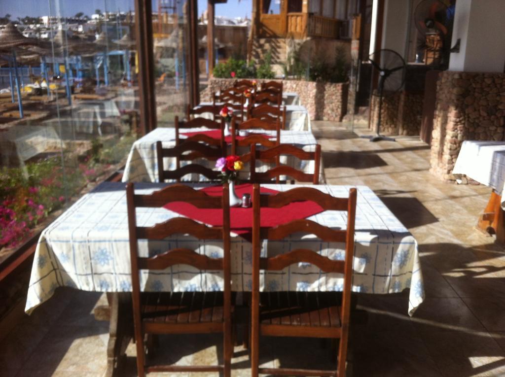 Sharks Bay Oasis Aqua Park Şarm El-Şeyh