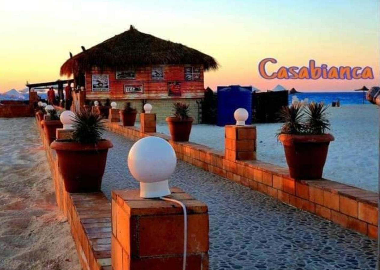 للايجار بالساحل الشمالى Casabianca Village Apartment Dawwar Muhammad Abu Shanab