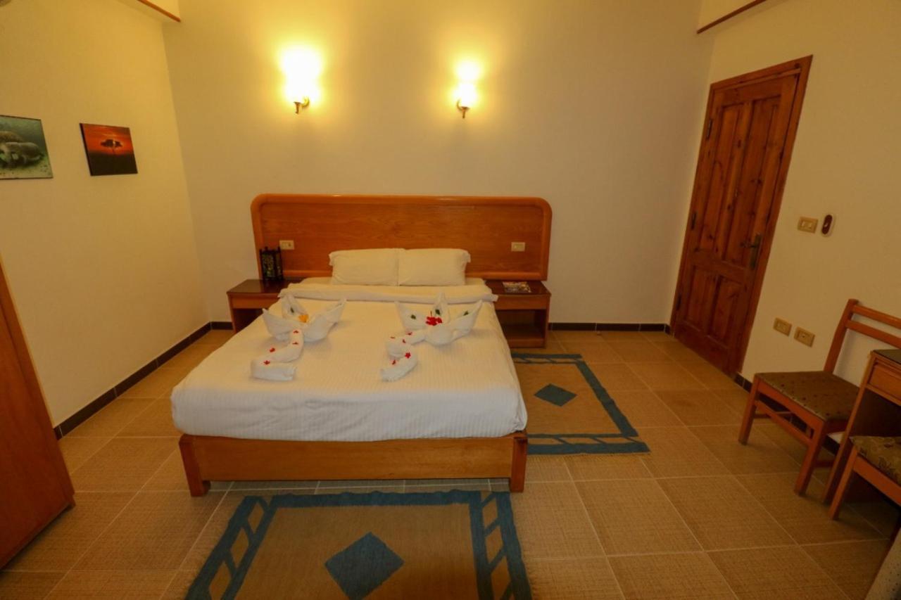 Acacia Complex 3*