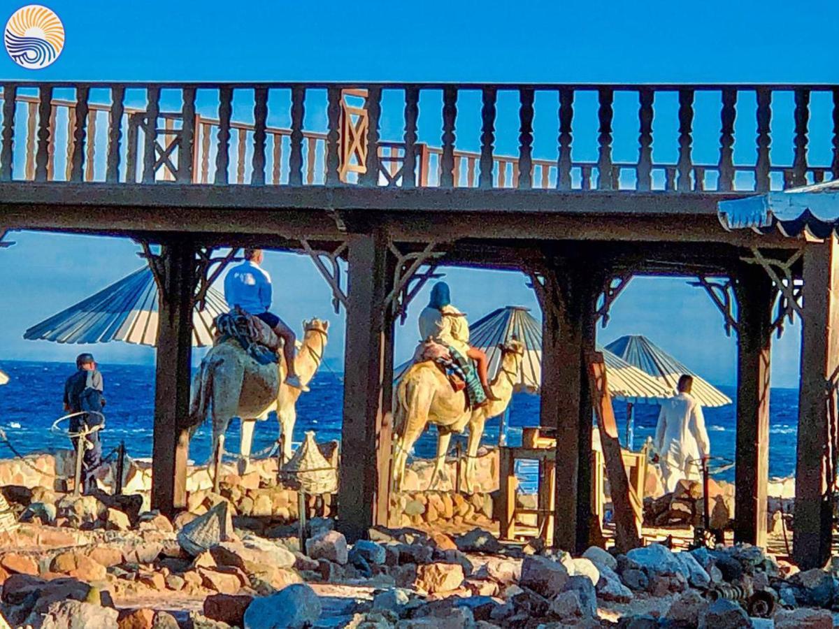 Lagona Village Dahab