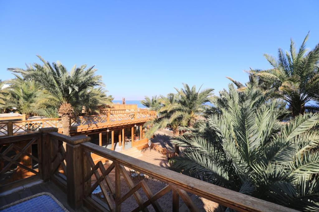 Acacia Complex Dahab