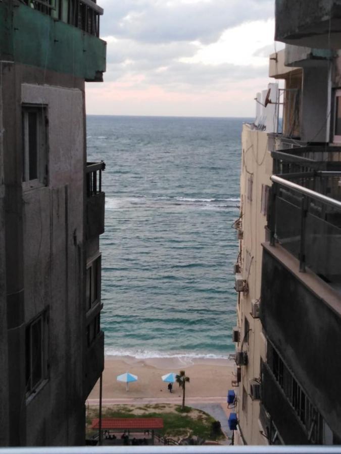 Zafero And - Families Only Alexandria