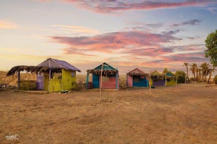 Rayan's Camp