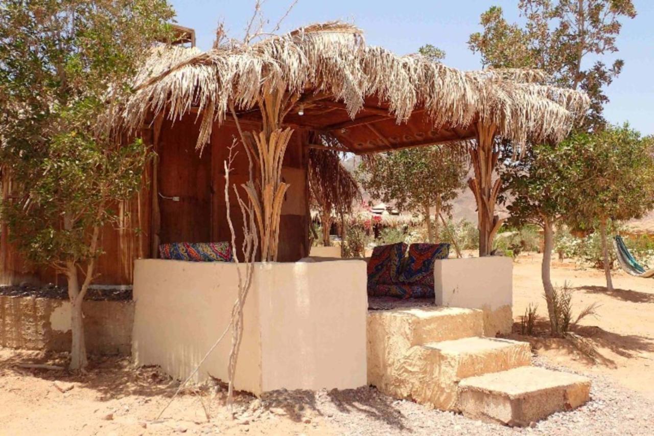 Campsite Bedouin Star
