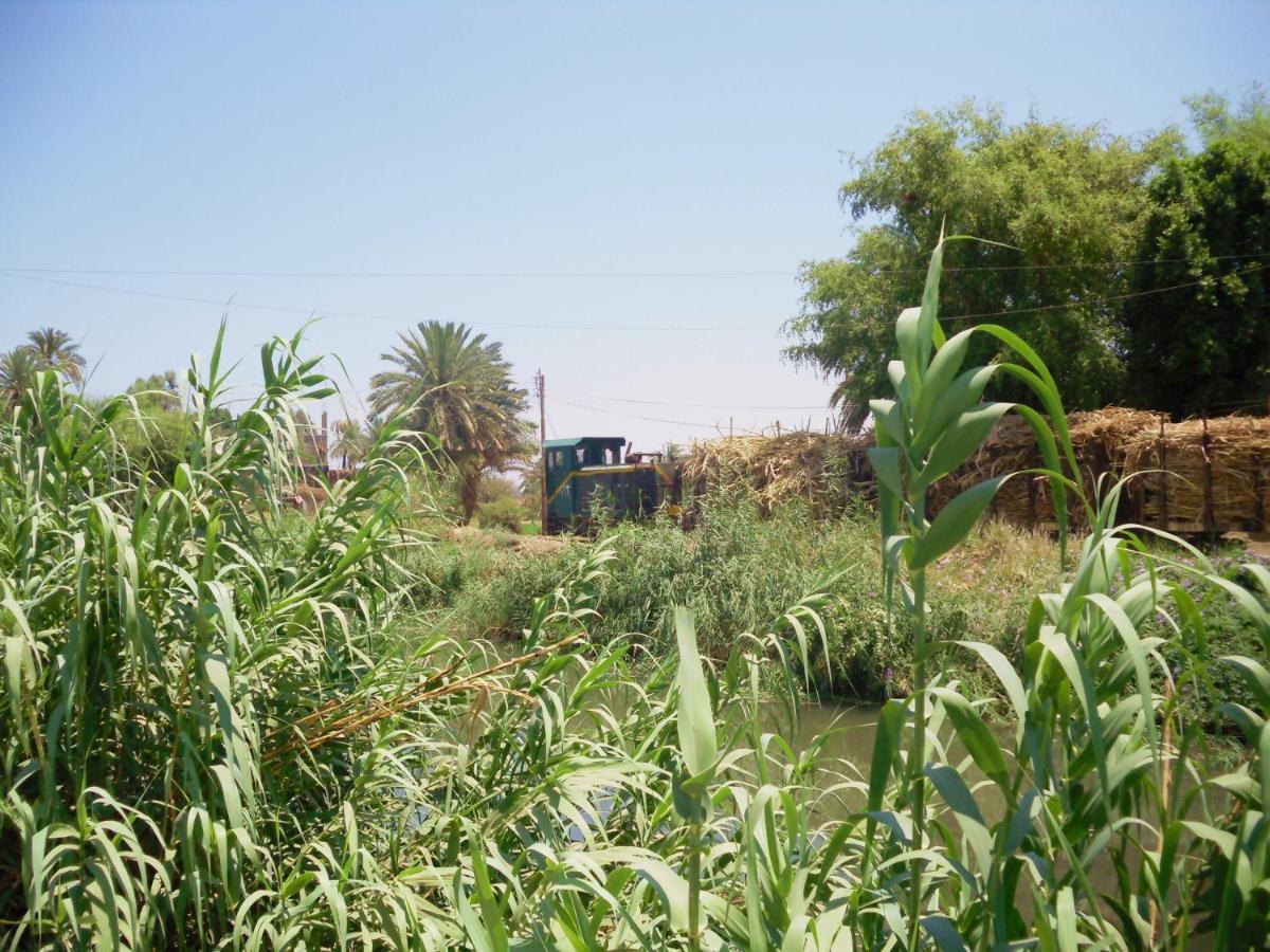 El Mesala Hotel 3*