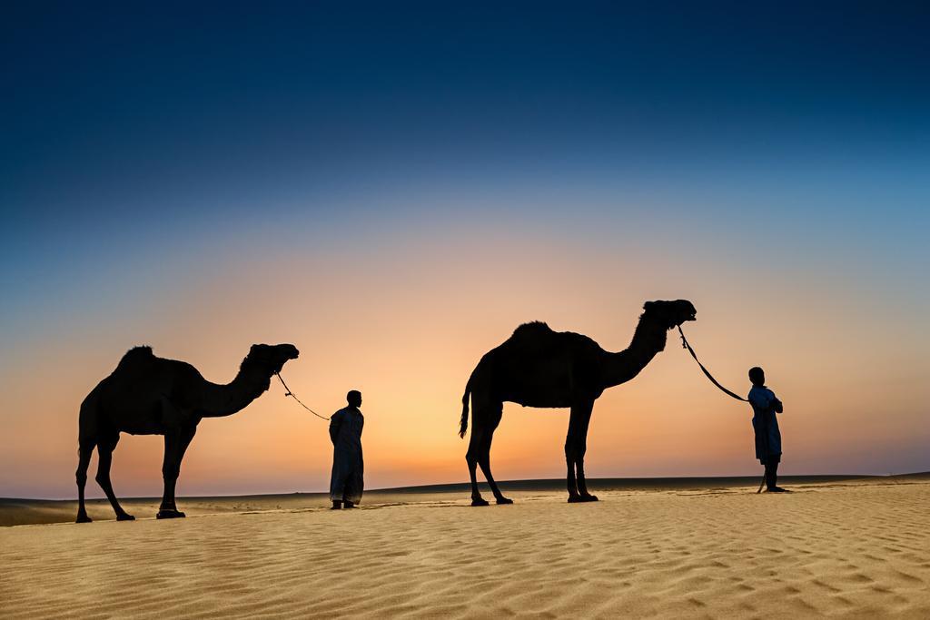 Resort Taziry Siwa