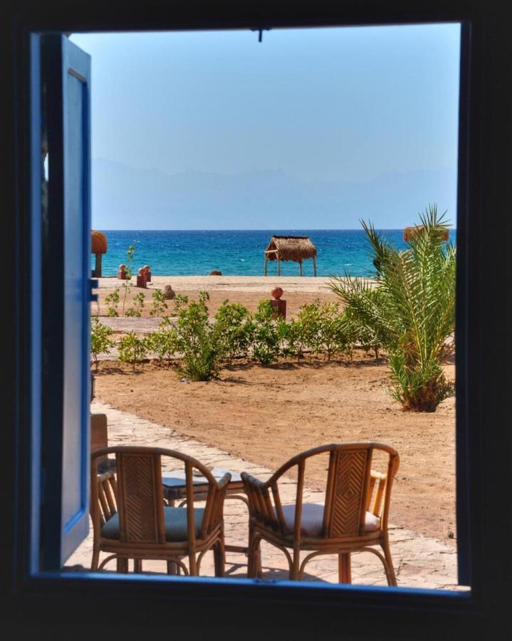 Safari Nuweiba
