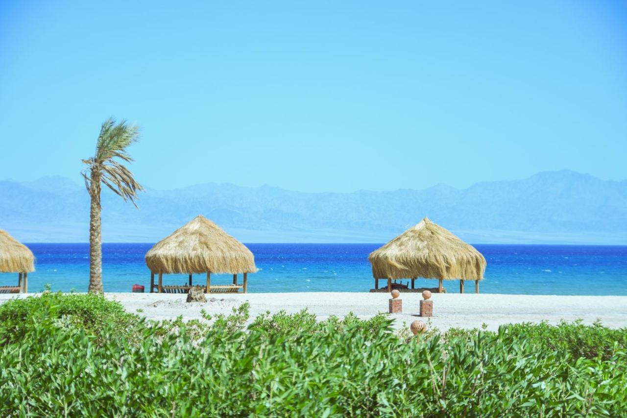 Campsite Safari Nuweiba