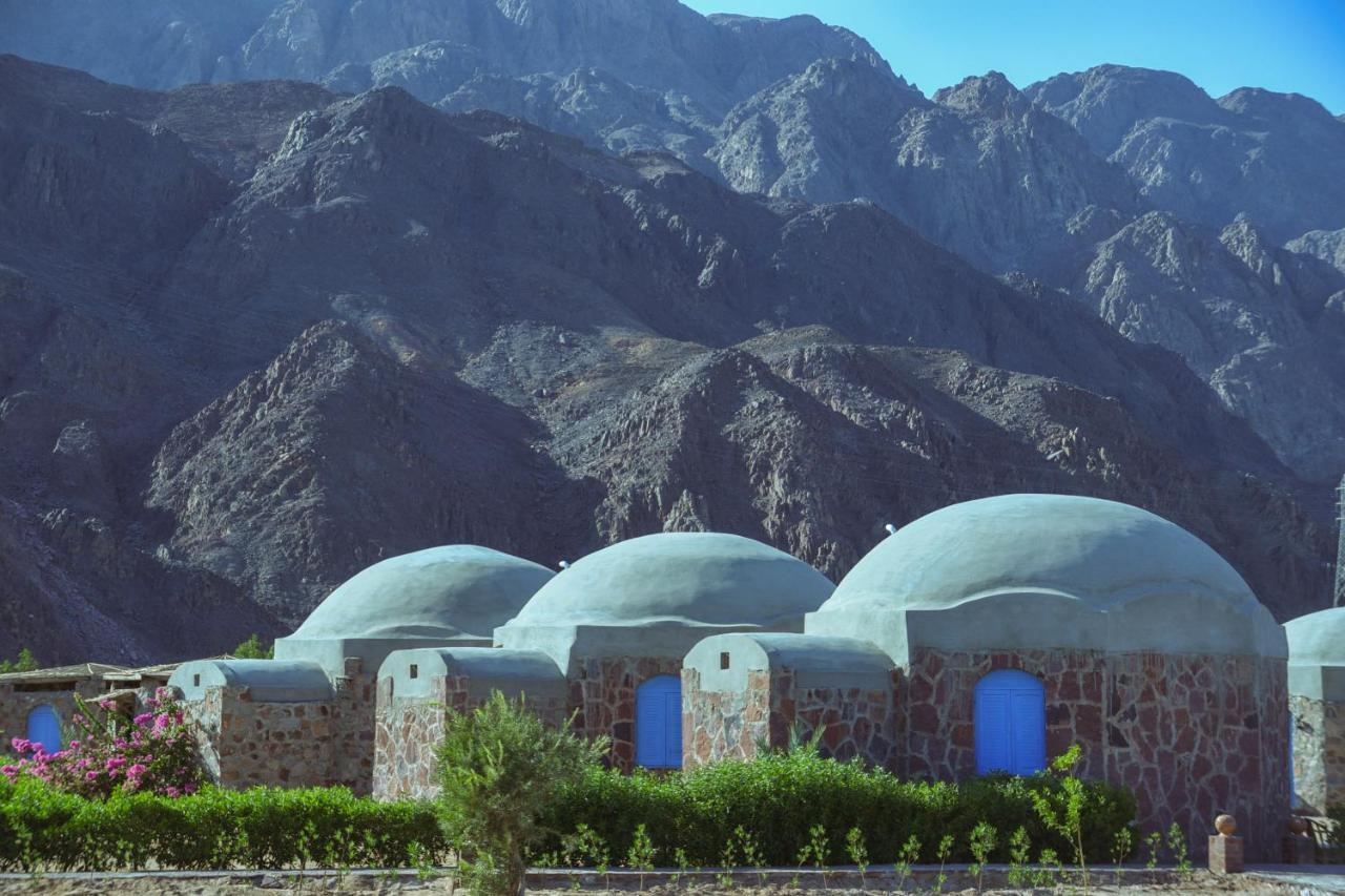 Safari Campsite Nuweiba