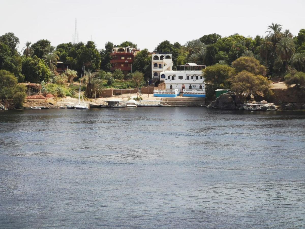 Abazido Nubian *