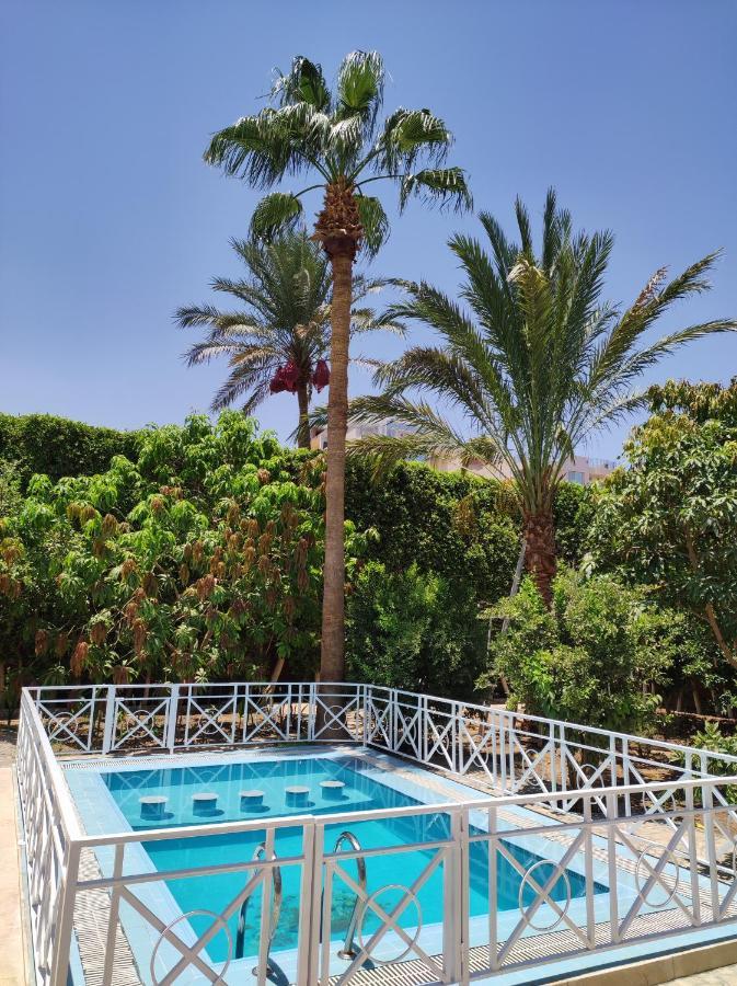Rayan * Hurghada