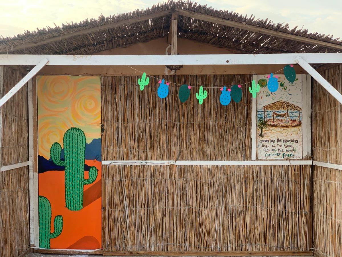 Alwaha Camp Kamp alanı *