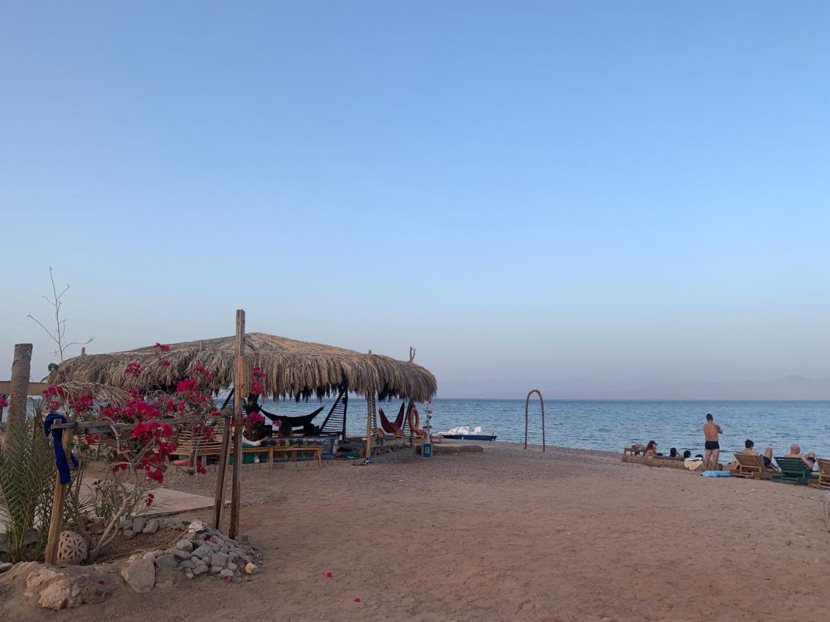 Alwaha Camp Nuweiba
