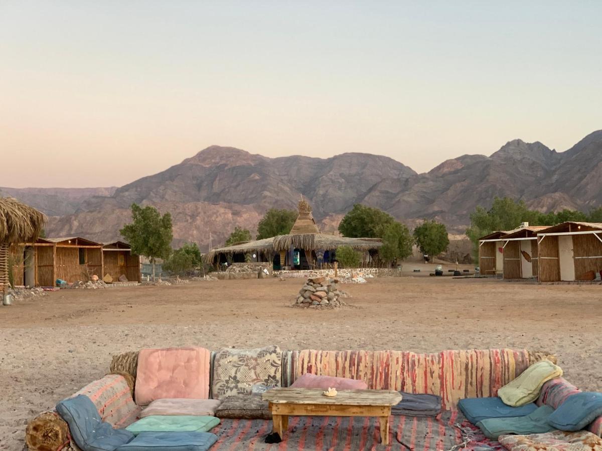 Alwaha Camp