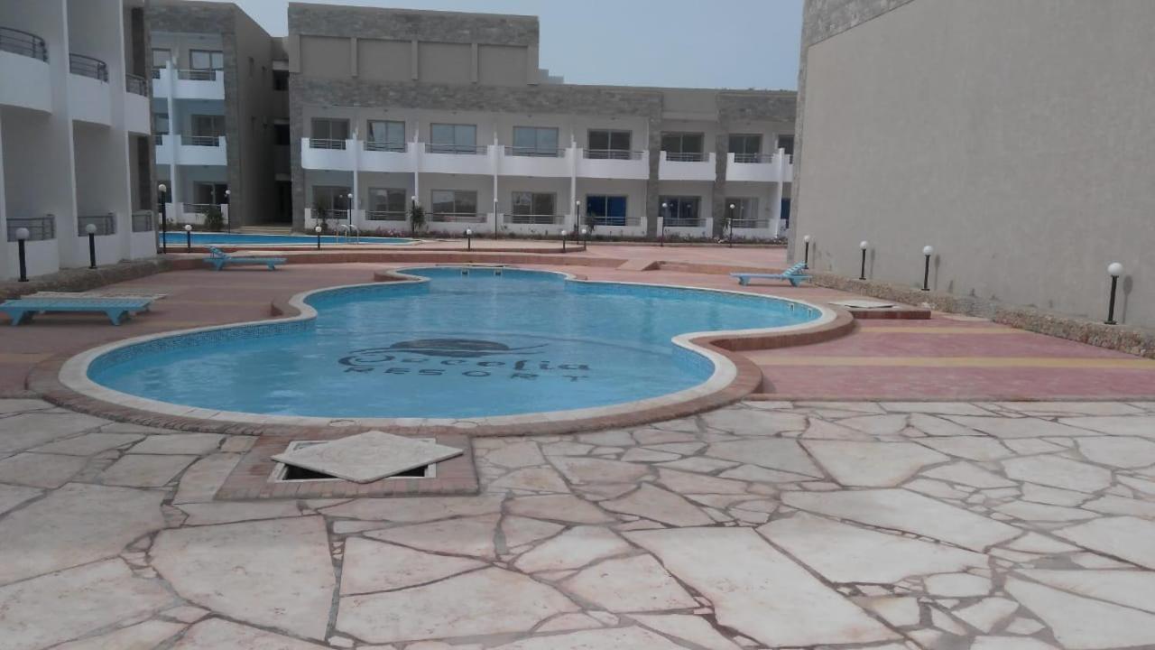 Cecelia Furnished For Rent Apartment Hurghada