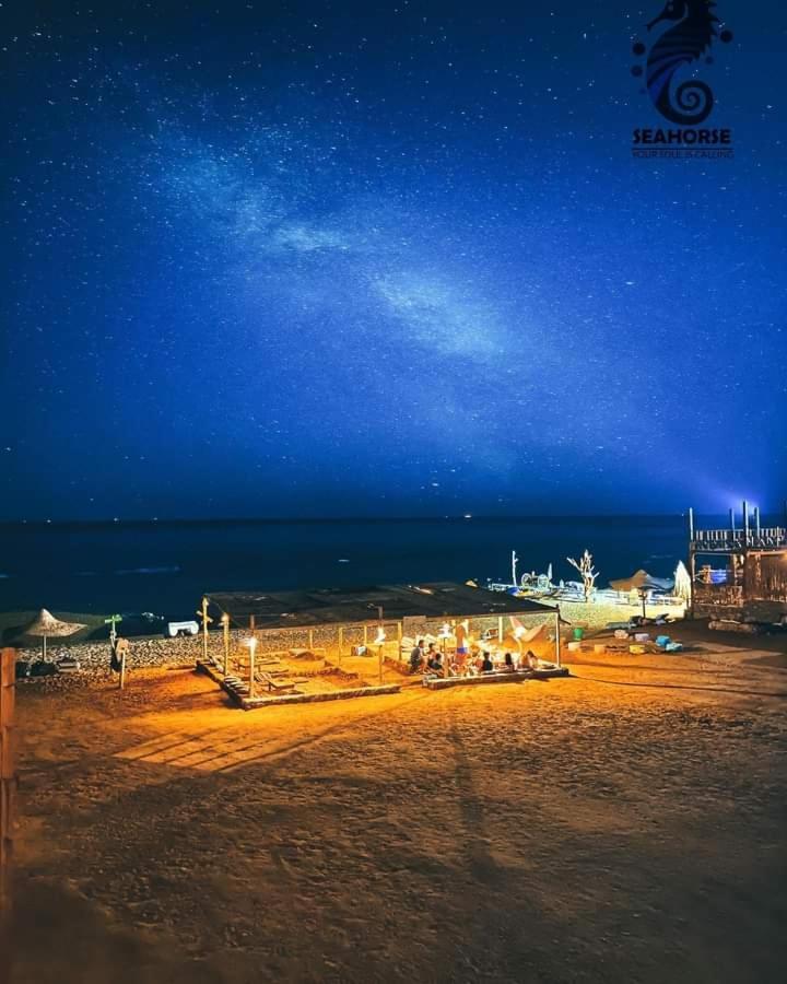 Campsite Sea Horse Nuweiba