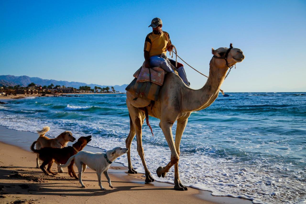 Habiba Beach Lodge *