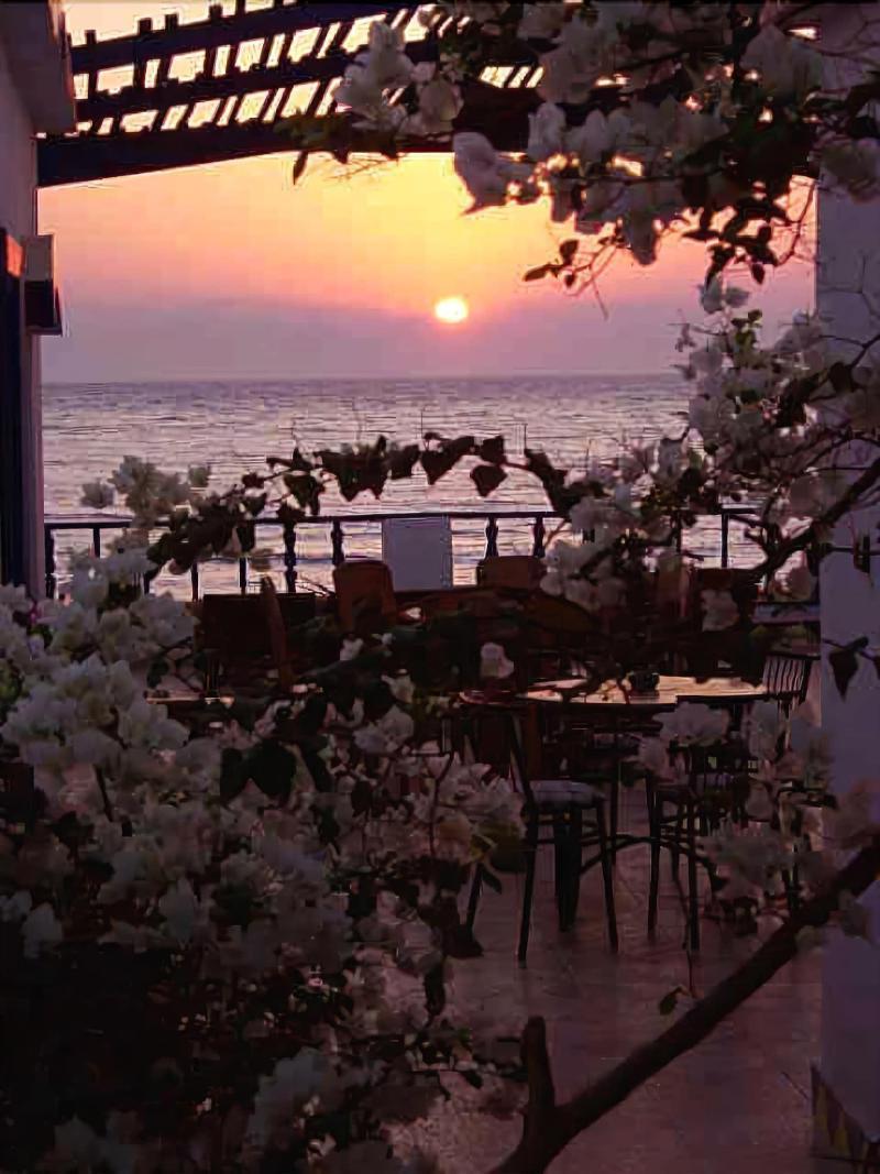 Hostel Neptune Dahab