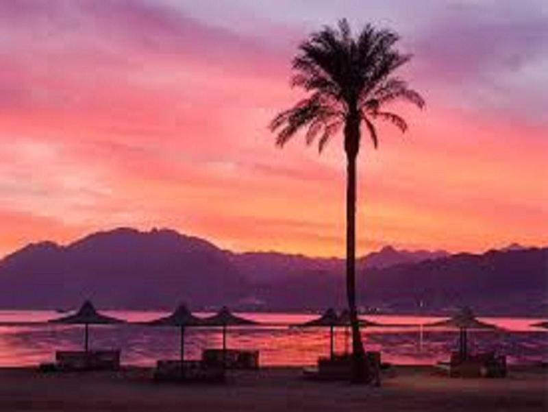 Jimmy Bed & Breakfast Dahab