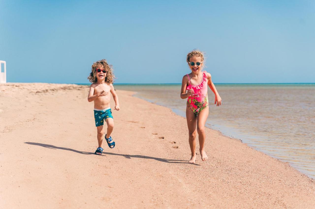 Mangroovy El Gouna - Grovin