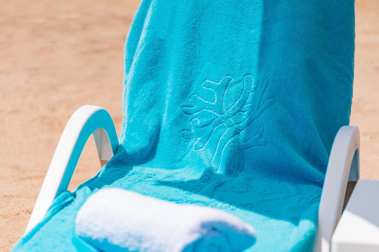 Mangroovy El Gouna - Grovin