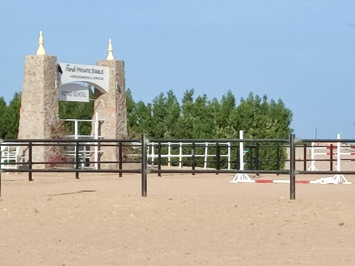 Apartment Joynant-gouna Kite Road-2room Mangroovy Free Access - Pool View-