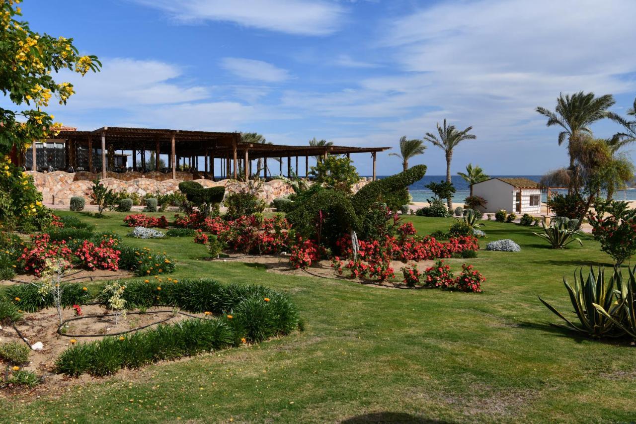 Resort Wadi Lahmy Azur - Soft