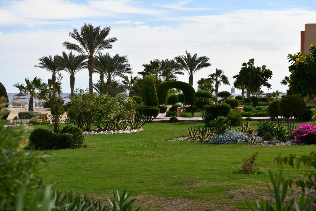 Resort Wadi Lahmy Azur - Soft