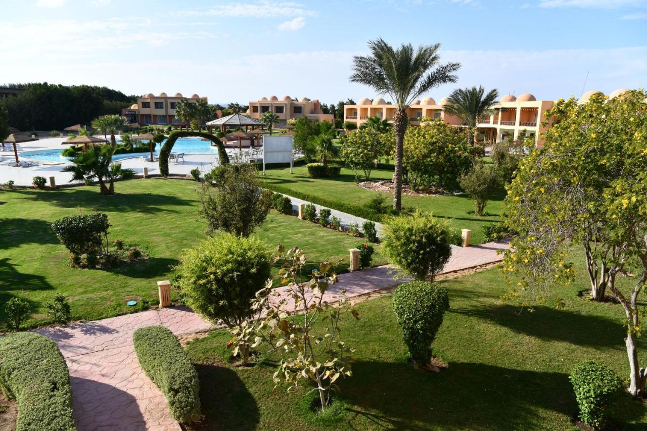 Wadi Lahmy Azur - Soft Resort 3*