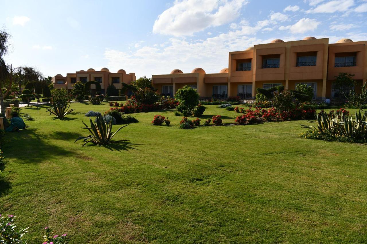 Resort Wadi Lahmy Azur - Soft 3*