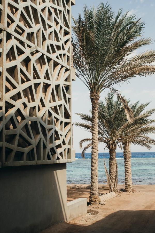Dar 3*