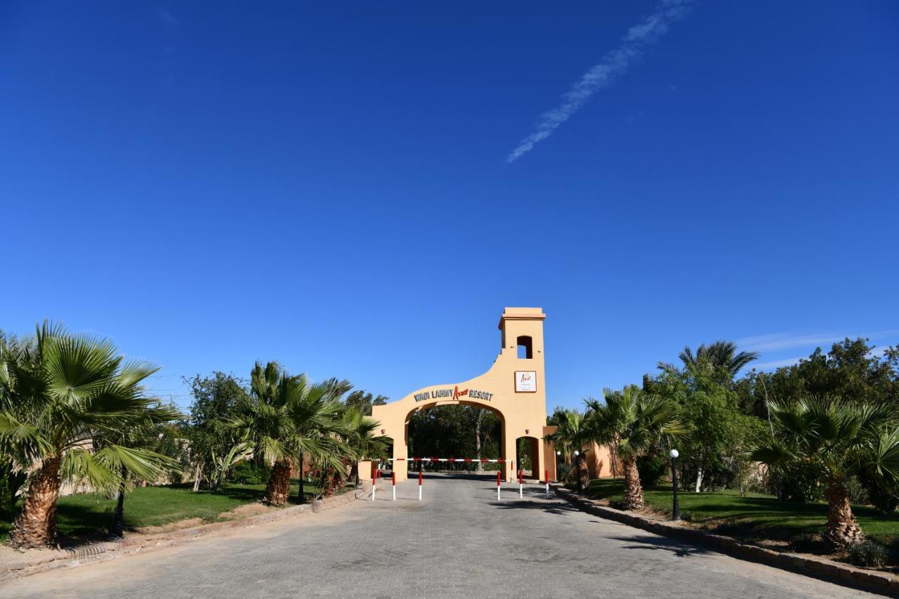 Wadi Lahmy Azur - Soft Resort