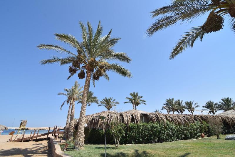 Sharm El Naga And Diving Center Hurgada