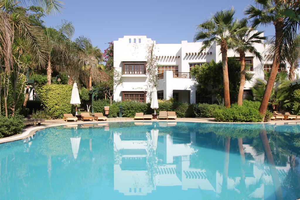 Delta ,official Web, Delta Rent, Sheikh, South Sinai, Egypt Sharm el-Sheikh