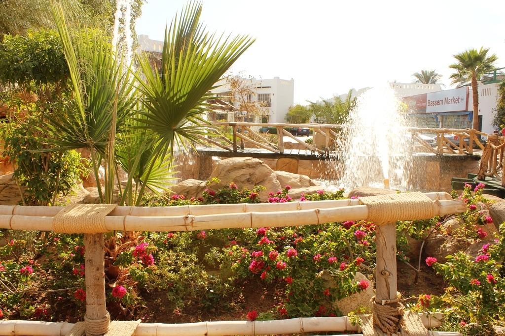 Delta ,official Web, Delta Rent, Sheikh, South Sinai, Egypt Resort