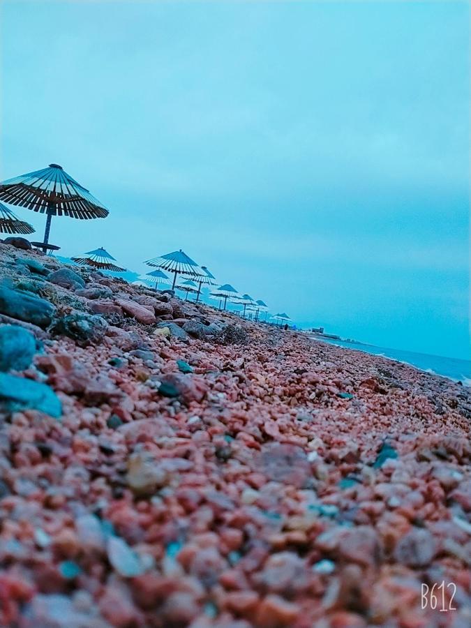 Lagona *